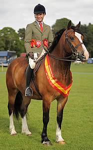 Light Horse Champion